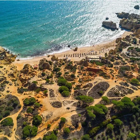 Lejlighed Seacoast Retreat With Pool And Access By Drago Albufeira